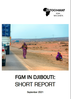 Djibouti Short Report (2021)